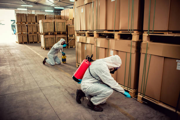 Best Exterminator Services  in Estill Springs, TN
