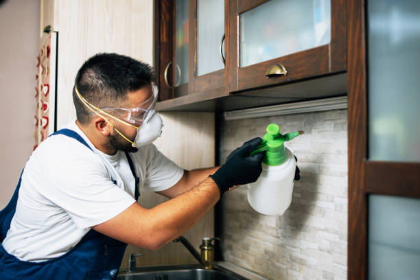Best Pest Control for Homes  in Estill Springs, TN
