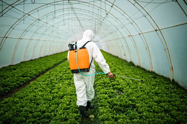Pest Prevention Services in Estill Springs, TN