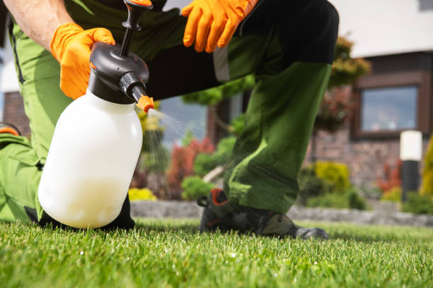 Best Local Pest Control Services  in Estill Springs, TN