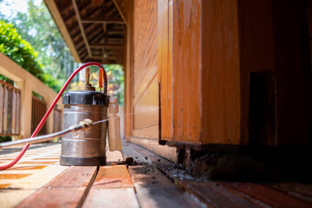 Best Affordable Pest Control Services  in Estill Springs, TN