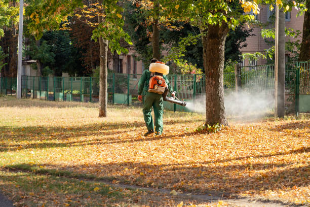 Best Best Pest Control Companies  in Estill Springs, TN