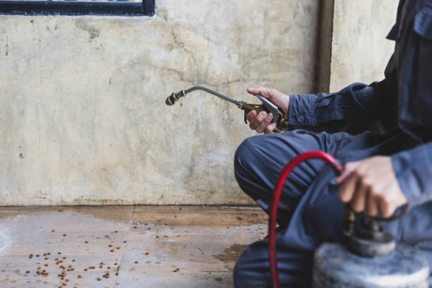 Best Rat Extermination Near Me  in Estill Springs, TN